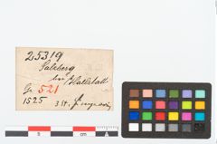 Etikett zu Bronzebandring (NHMW-PRAE-025319)